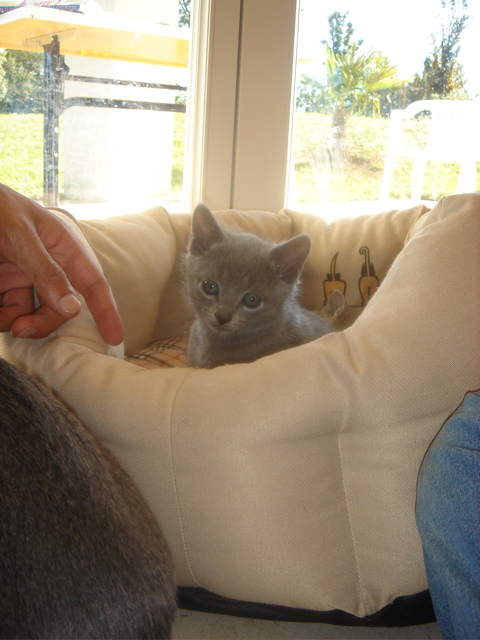 DSC01488.JPG