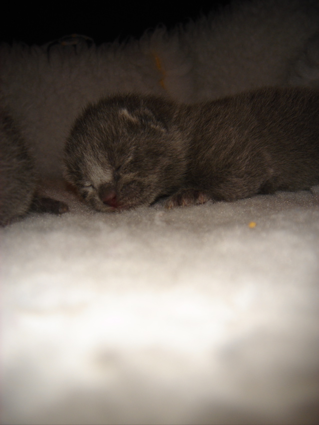 DSC00556.JPG