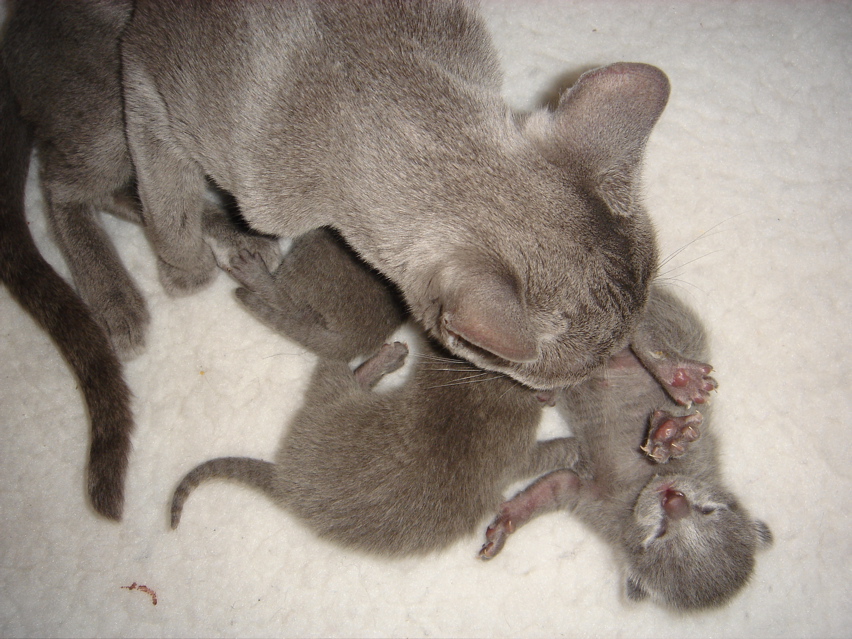 DSC00559.JPG