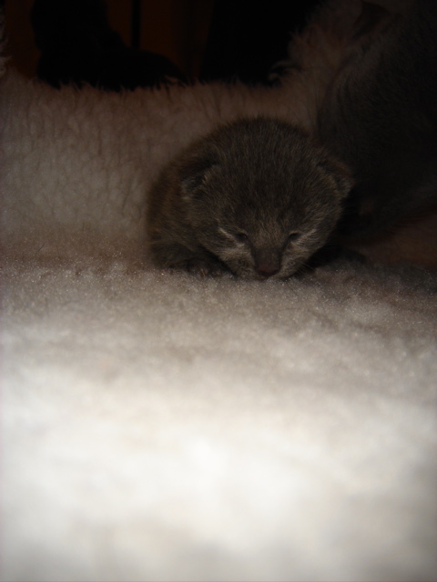 DSC00635.JPG