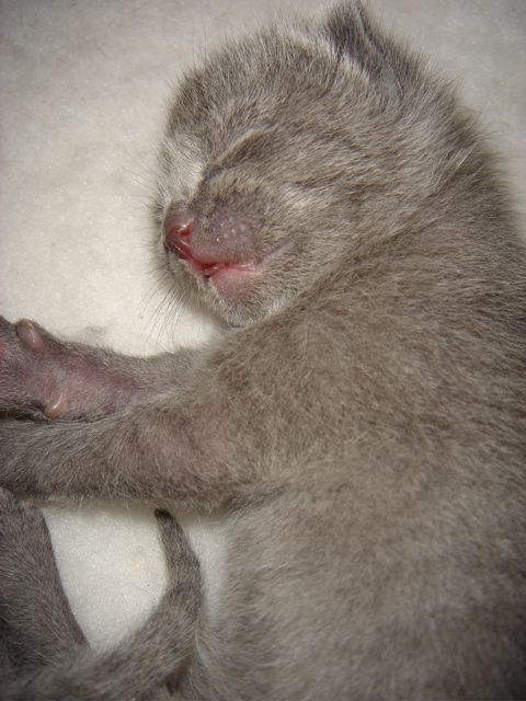 DSC00607.JPG