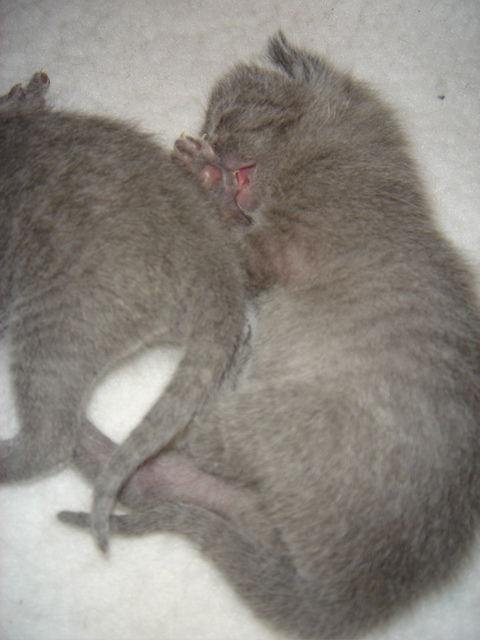 DSC00606.JPG