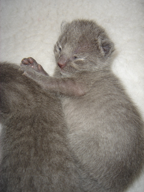 DSC00604.JPG