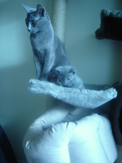 DSC01760.JPG