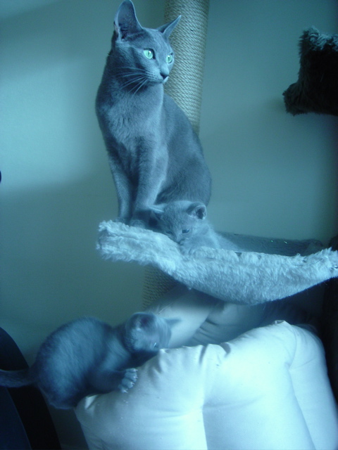 DSC01759.JPG