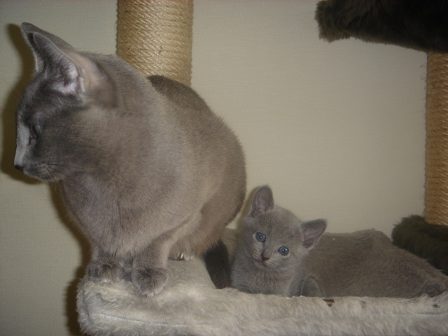 DSC01763.JPG