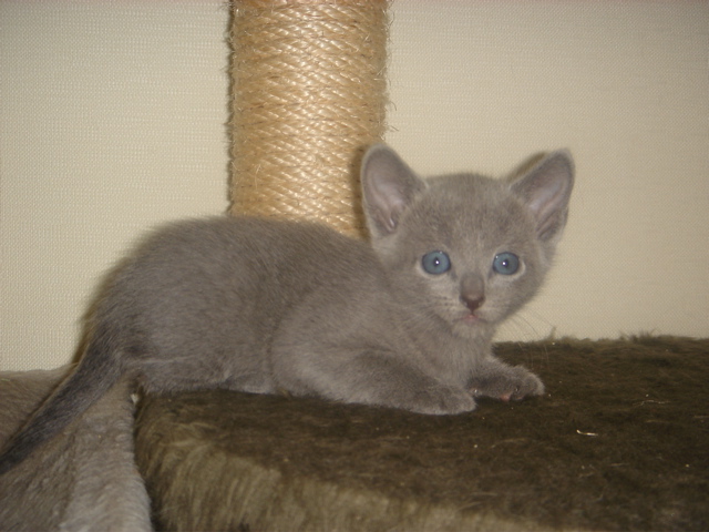 DSC01765.JPG