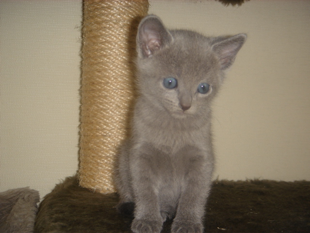 DSC01766.JPG