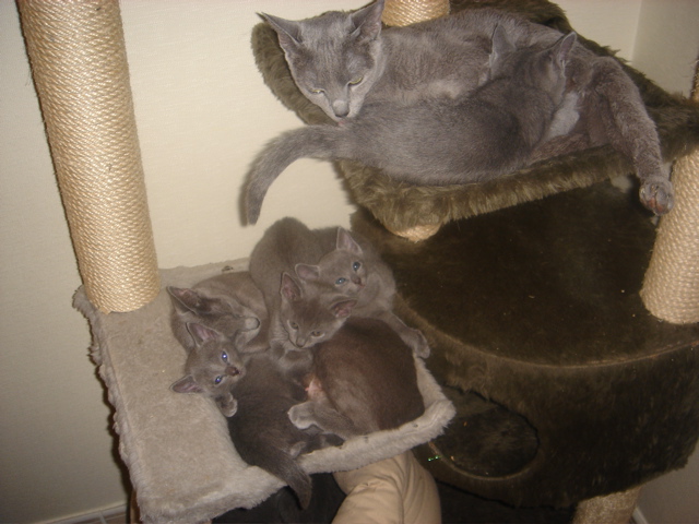 DSC01790.JPG