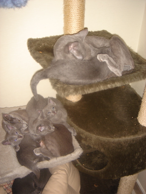 DSC01791.JPG
