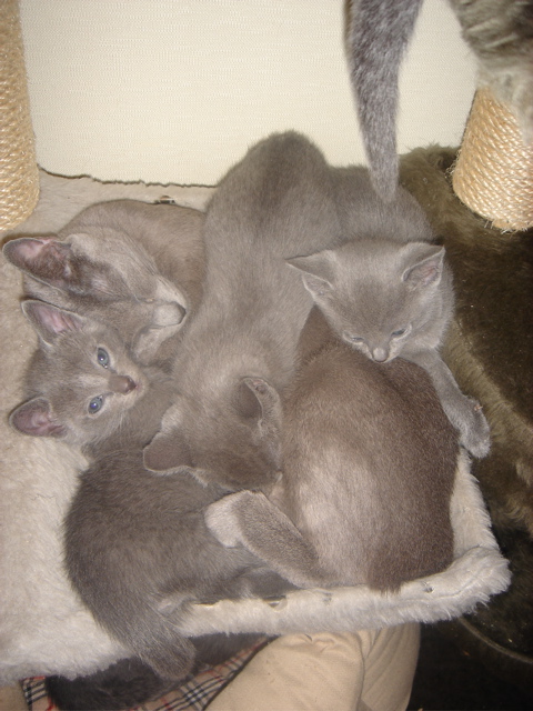DSC01794.JPG