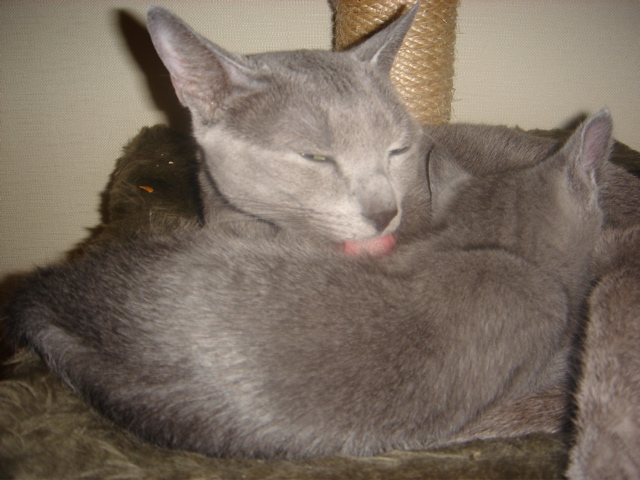 DSC01795.JPG