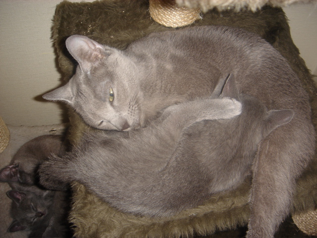 DSC01799.JPG