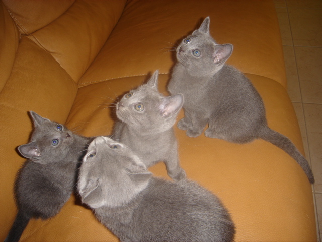 DSC01801.JPG
