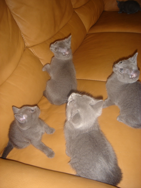 DSC01802.JPG