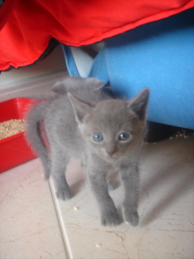 DSC01784.JPG