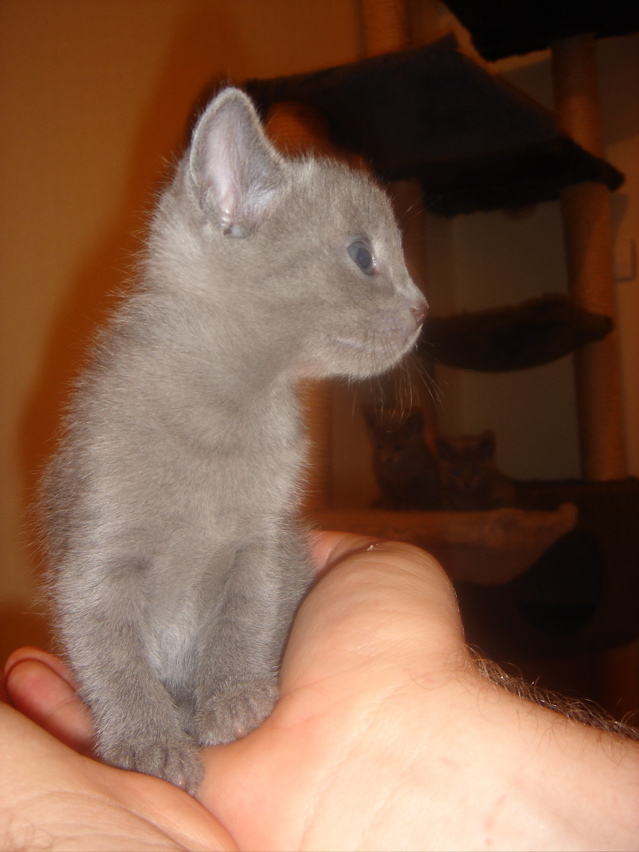 DSC01428.JPG