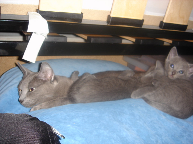 DSC01681.JPG