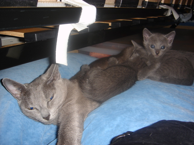 DSC01683.JPG