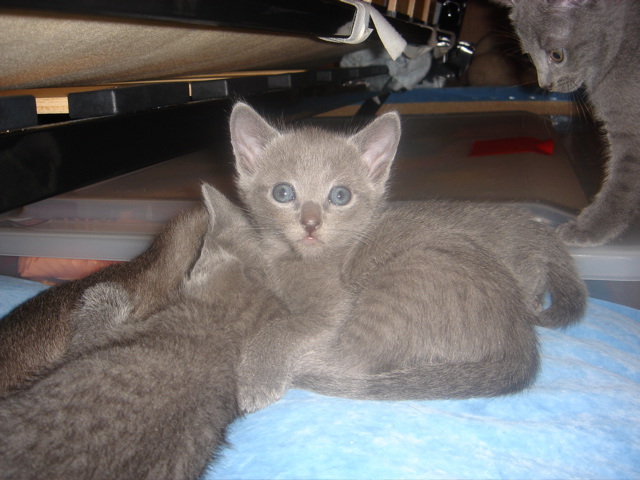 DSC01685.JPG