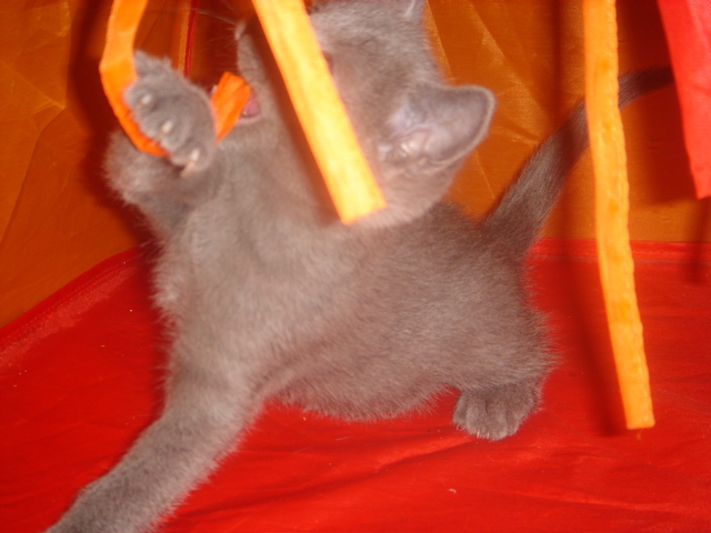 DSC01717.JPG