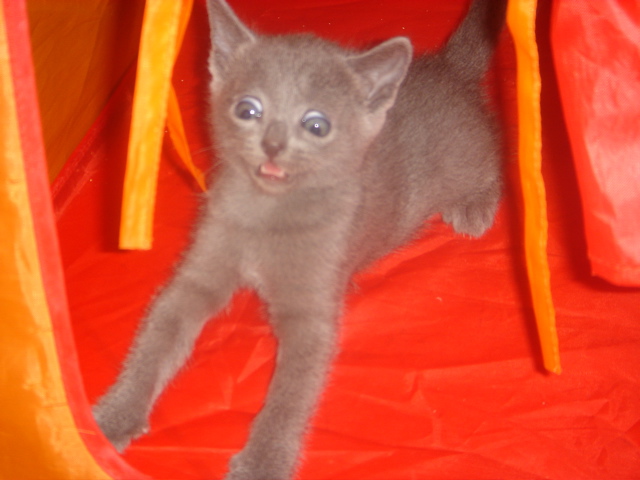 DSC01718.JPG