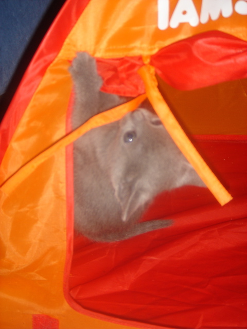 DSC01721.JPG