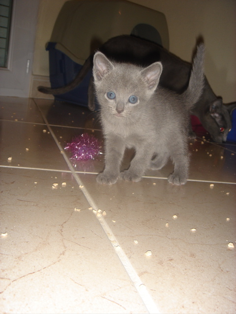 DSC01711.JPG