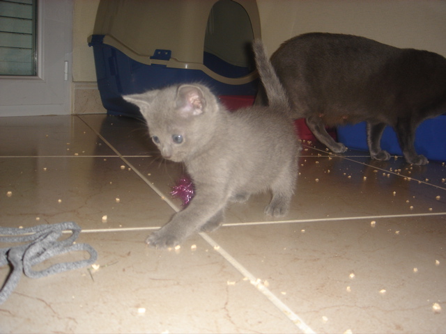DSC01712.JPG
