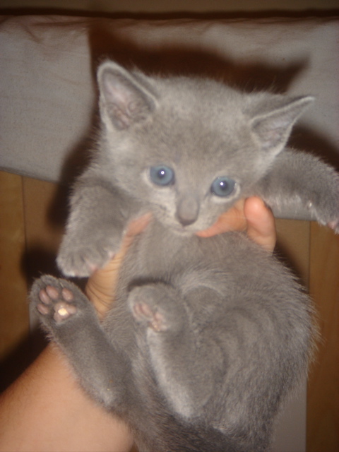 DSC01731.JPG
