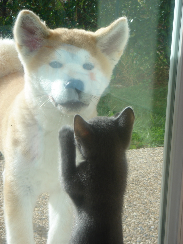 DSC02076.JPG
