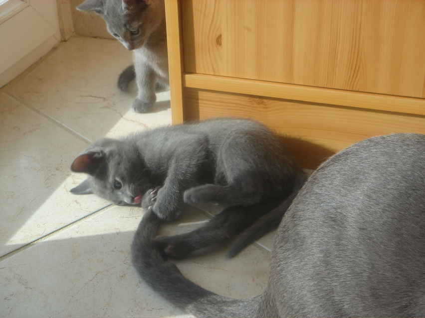 DSC02078.JPG