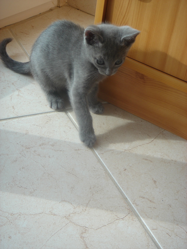 DSC02080.JPG