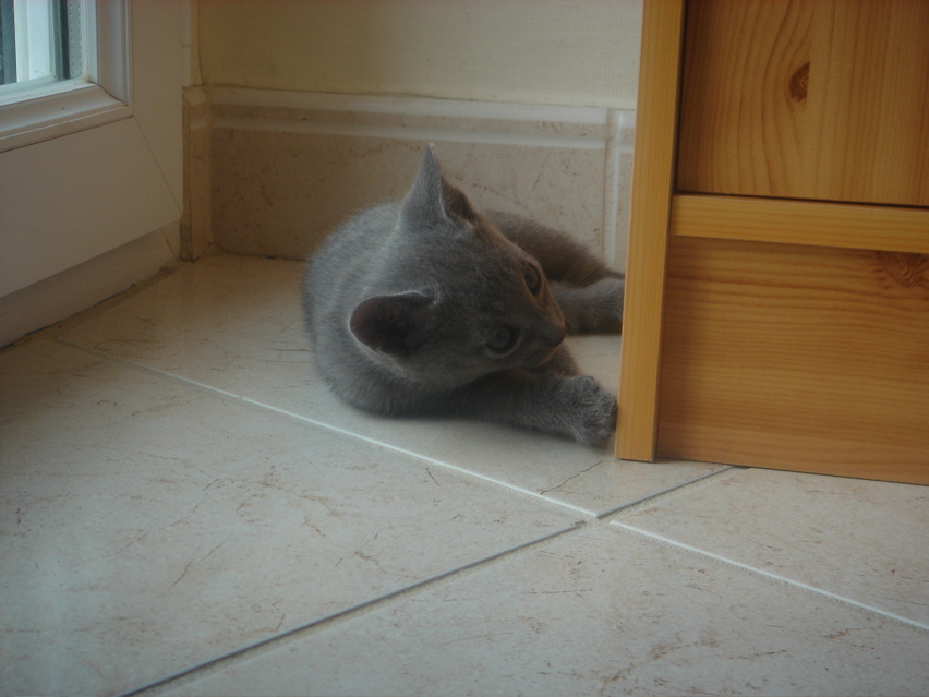 DSC02082.JPG
