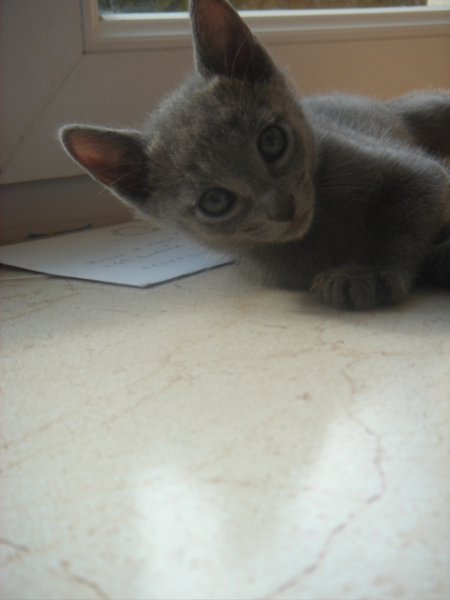 DSC02093.JPG