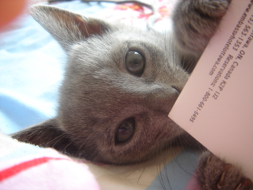 DSC02102.JPG