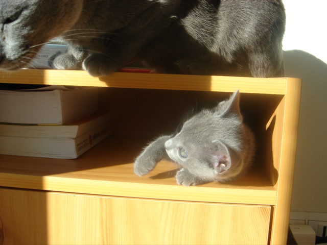 DSC02035.JPG