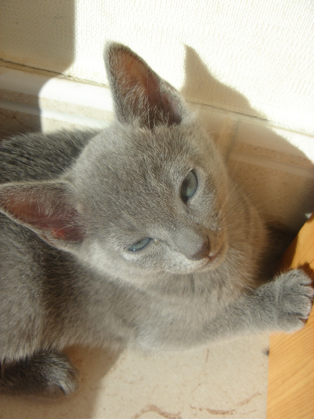 DSC02049.JPG