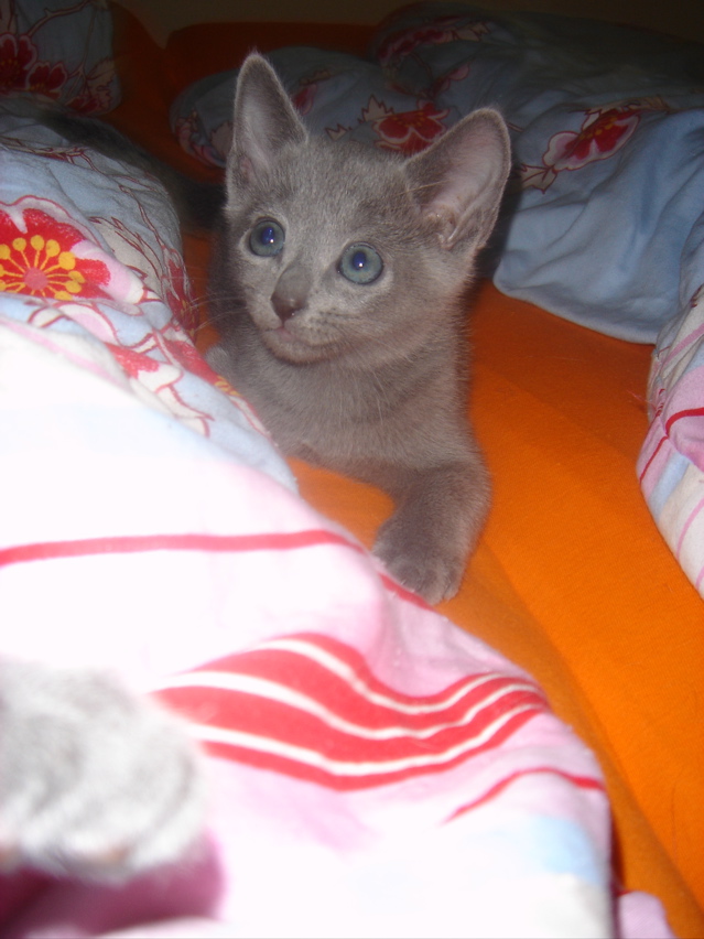 DSC01935.JPG