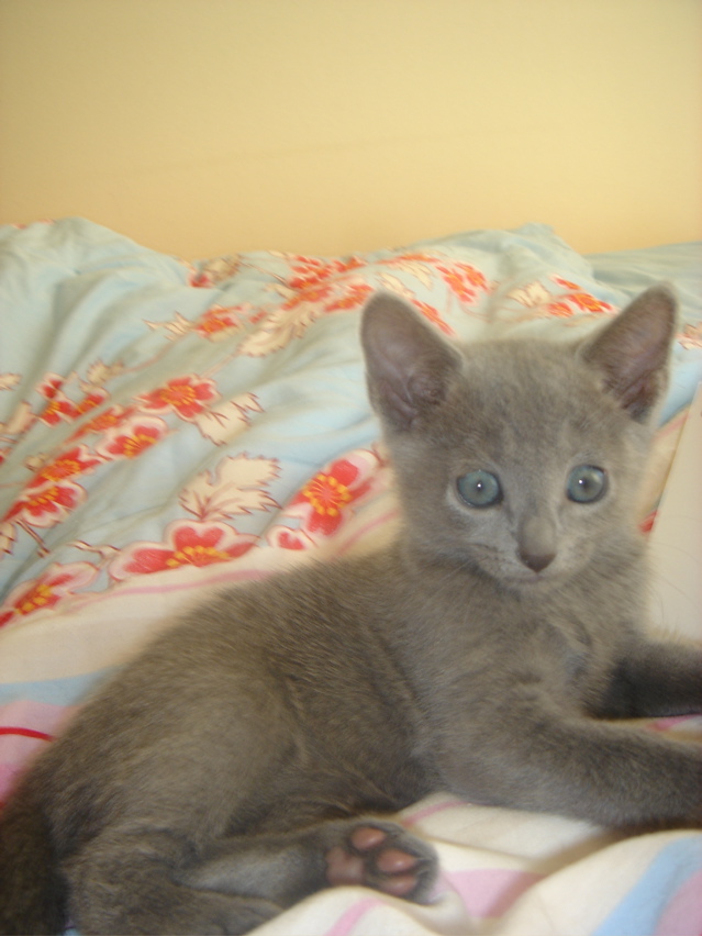 DSC01945.JPG
