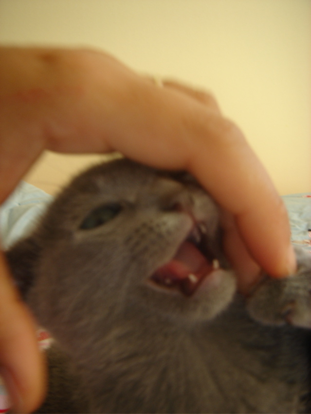 DSC01946.JPG