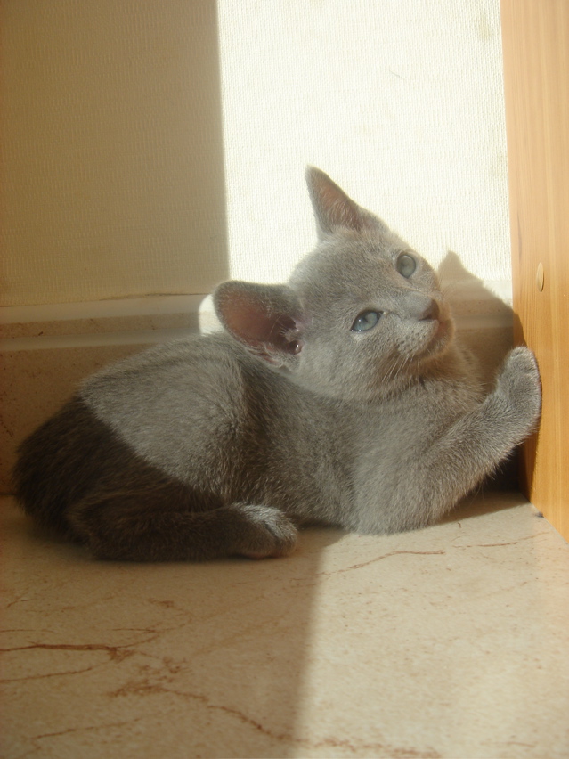 DSC02042.JPG