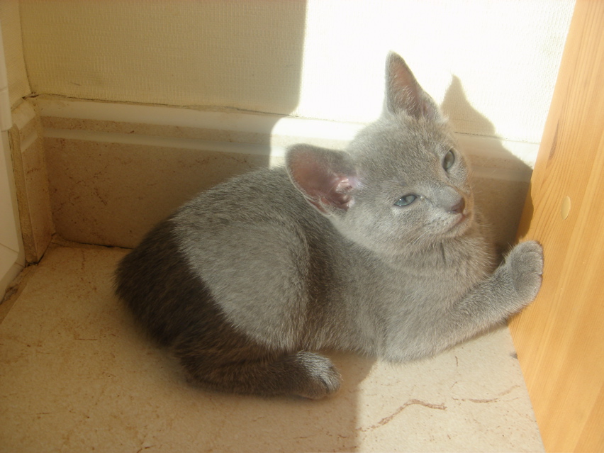 DSC02044.JPG