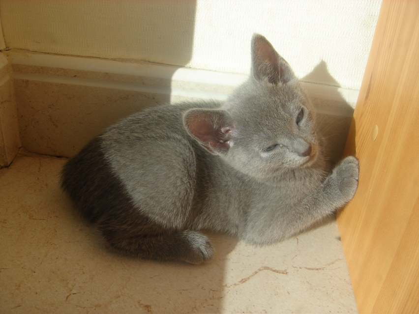 DSC02043.JPG