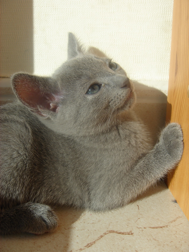 DSC02046.JPG