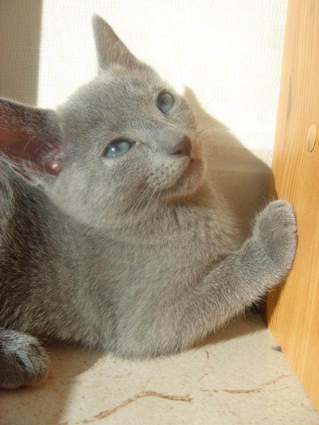 DSC02047.JPG