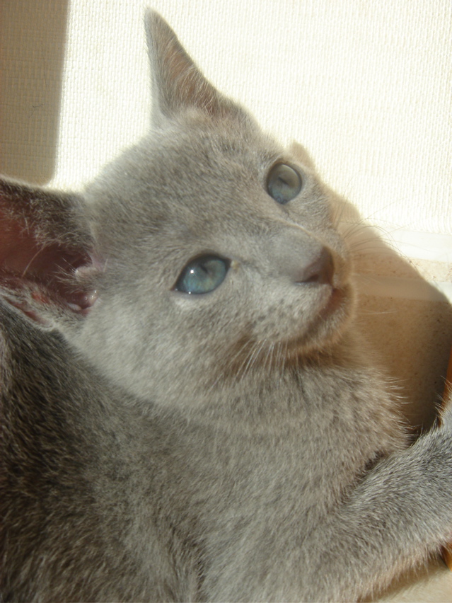 DSC02048.JPG