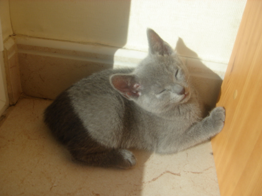 DSC02050.JPG