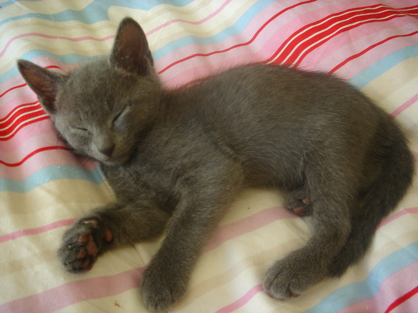 DSC01978.JPG