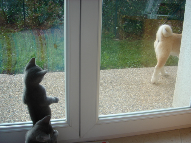 DSC02090.JPG